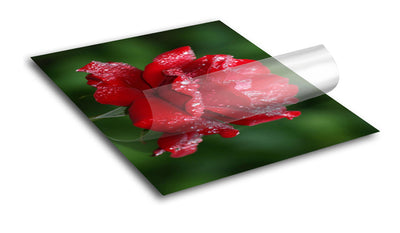ADHESIVE VINYL