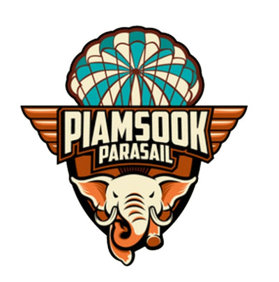 Custom Logo Design