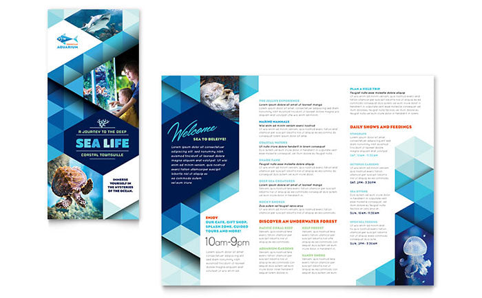 Brochures / Flyers (Full Color)